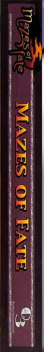 Mazes Of Fate — box-2D-side (US)