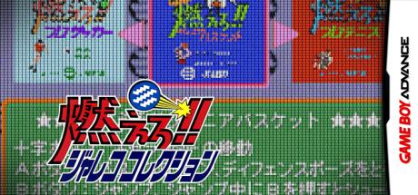 Moero!! Jaleco Collection — steamgrid