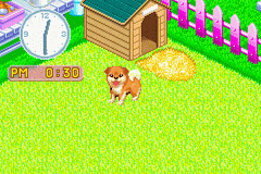 Nakayoshi Pet Advance Series 2 - Kawaii Koinu — ss (WOR)