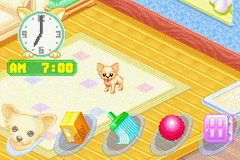 Nakayoshi Pet Advance Series 4 - Kawaii Koinu Mini - Wankoto Asobou!! Kogata-ken — ss (WOR)