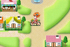 Ohanaya-san Monogatari Gba - Iyashikei Ohanaya-san Ikusei Game — ss (WOR)