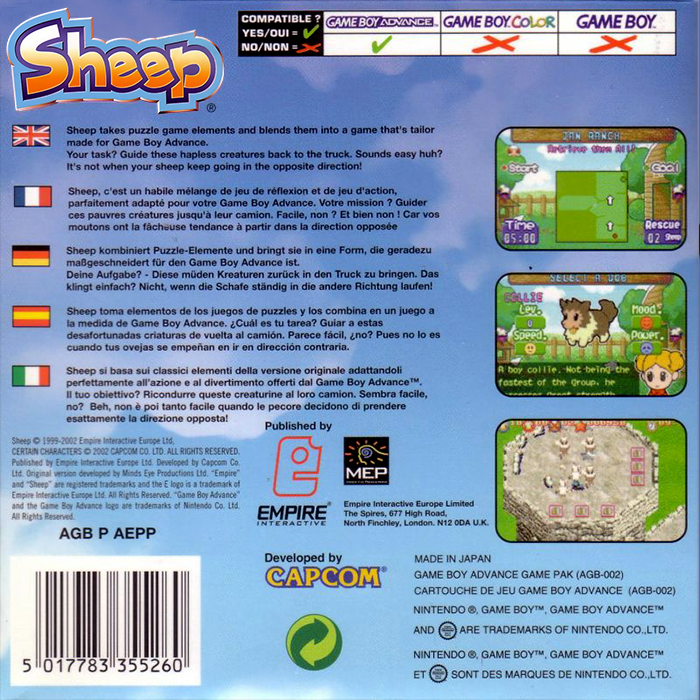 Sheep — box-2D-back (EU)
