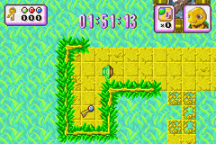 Turbo Turtle Adventure — ss (WOR)