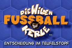 Wilden Fussball-kerle, Die - Entscheidung Im Teufelstopf — sstitle (DE)
