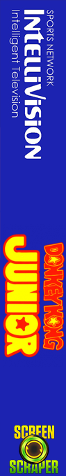 Donkey Kong Jr. — box-2D-side (SS)