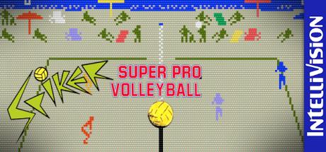 Spiker: Super Pro Volleyball — steamgrid