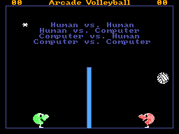 Arcade Volleyball — sstitle (WOR)