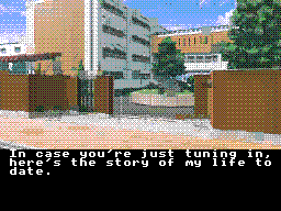 Dating Sim — ss (WOR)