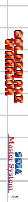 Golden Axe Warrior — box-2D-side (SS)