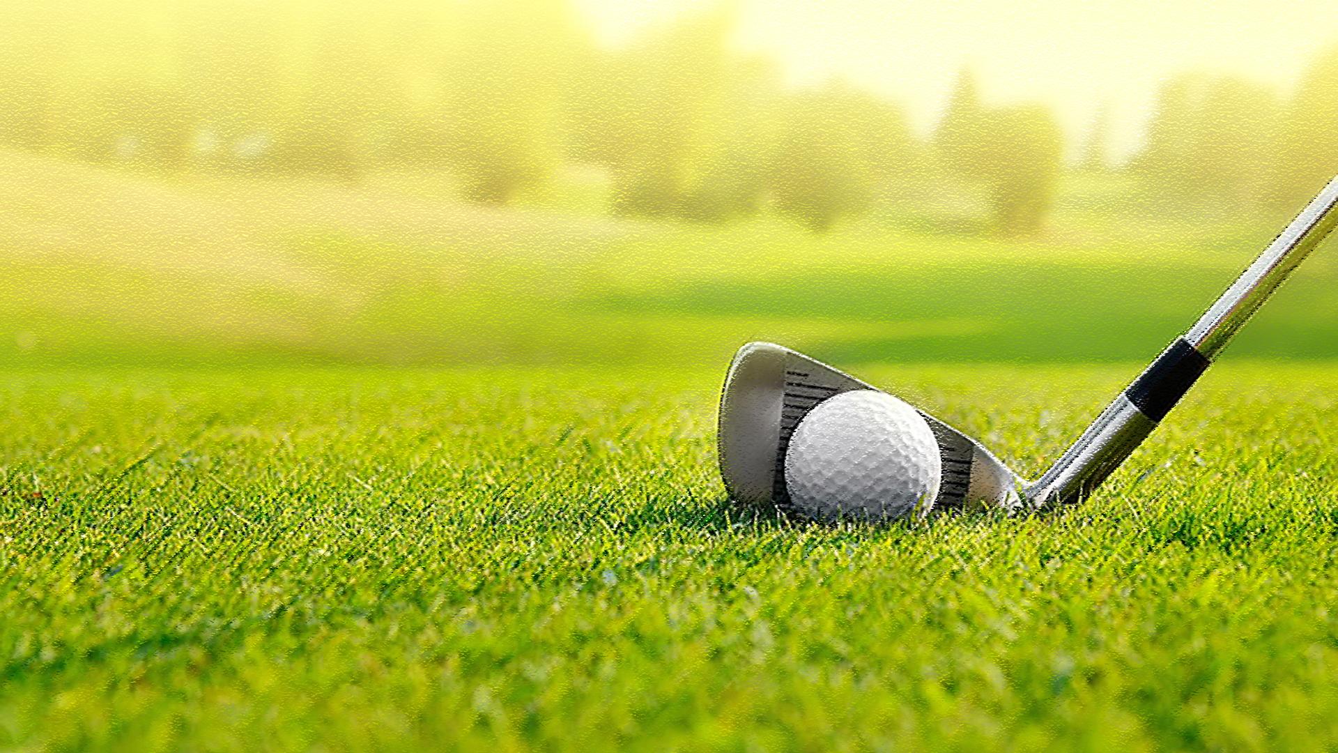 Pga Tour Golf — fanart