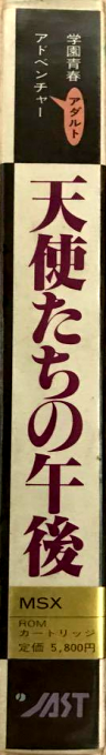 Tensidachino Gogo — box-2D-side (JP)
