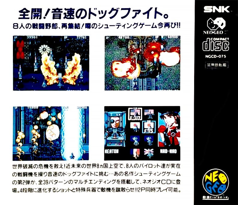 Aero Fighters 2 — box-2D-back (JP)