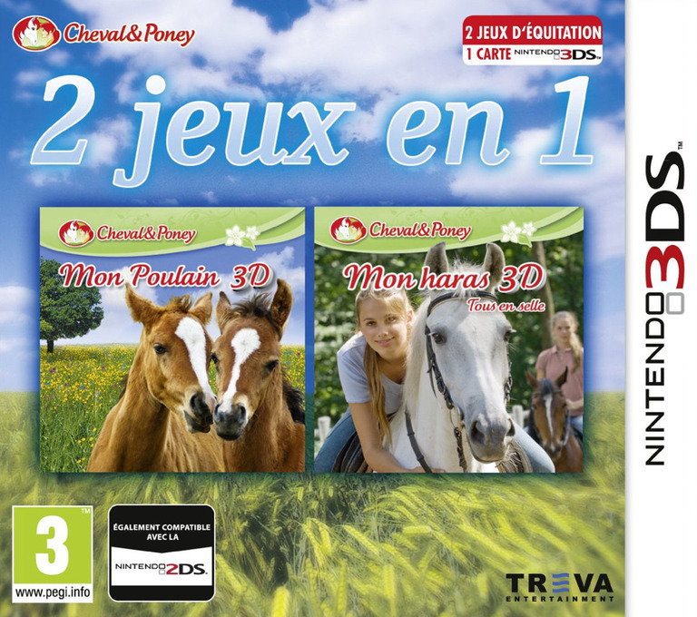 2 in 1 Horses & Foal: My Foal 3D + My Riding Stables 3D - Rivals in the Saddle — box-2D (FR)