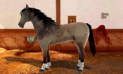 2 in 1 - Horses 3D Vol. 2 - Rivals in the Saddle and Jumping for the Team 3D — ss (EU)