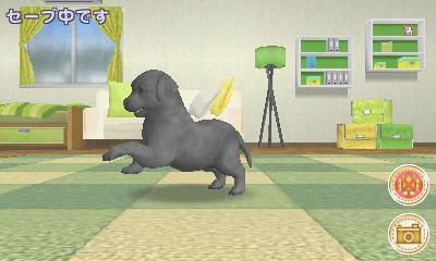 Dog School - Lovely Puppy — ss (JP)