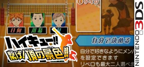 Haikyu!! Tsunage! Itadaki No Keshiki!! — steamgrid