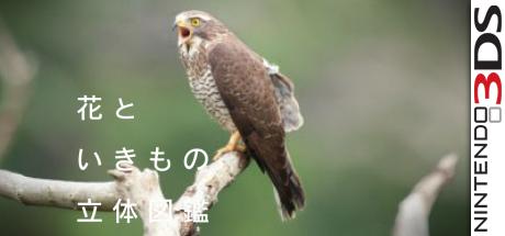 Hana To Ikimono Rittai Zukan — steamgrid