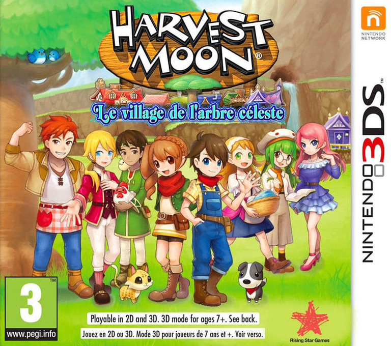 Harvest Moon: Skytree Village — box-2D (FR)