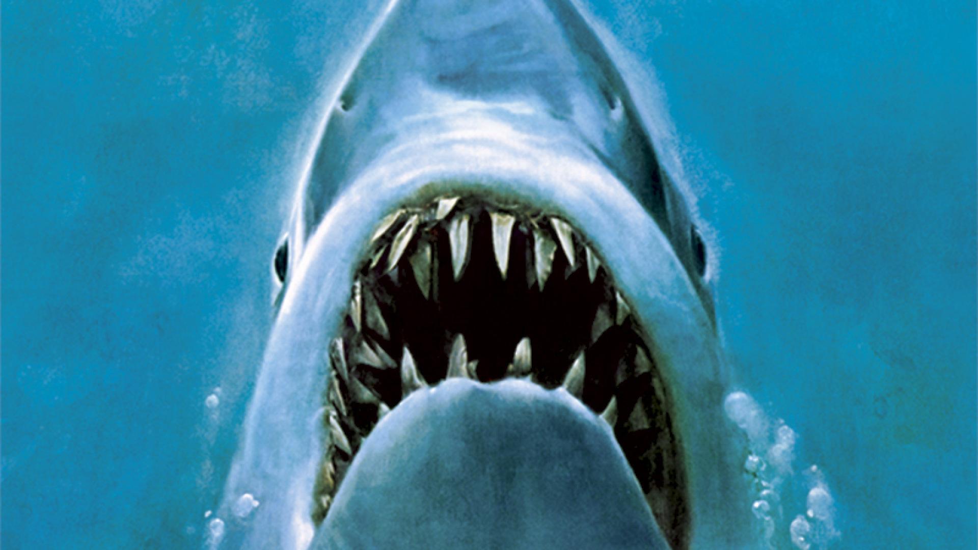 Jaws - Ultimate Predator — fanart