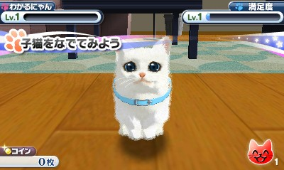 Kawaii Koneko 3d — ss (WOR)