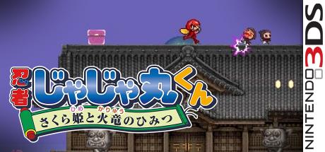 Ninja Jajamaru-kun - Sakura Hime To Karyuu No Himitsu — steamgrid