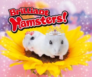 Brilliant Hamsters! box art