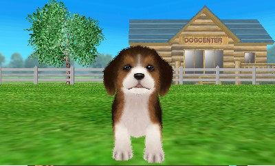 Oshare Na Koinu 3d — ss (WOR)