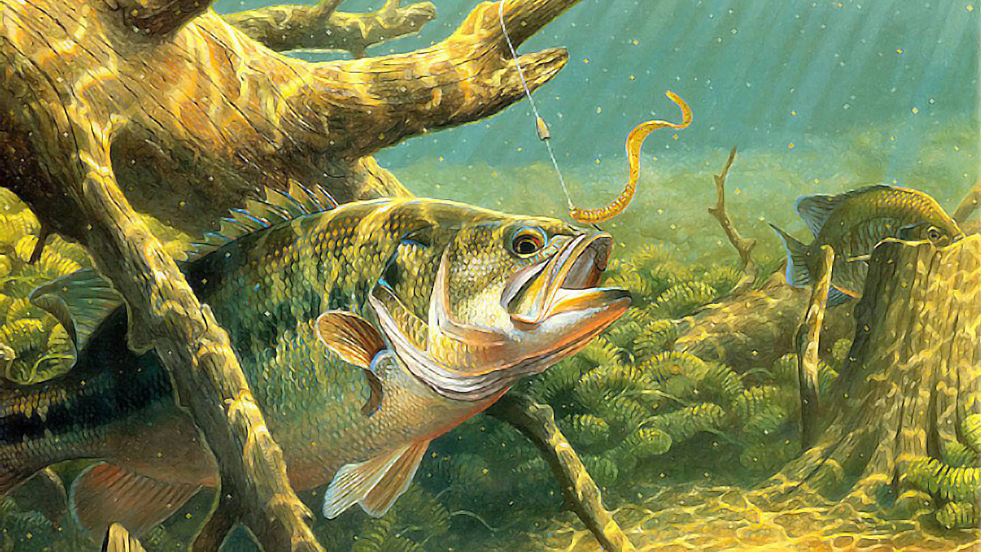 Bassmasters 2000 — fanart