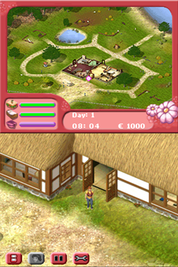 2 in 1 - My Pet Hotel + My Vet Practice - In the Country — ss (WOR)
