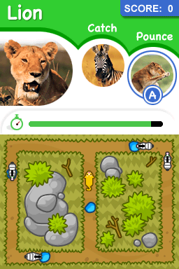 Animal Genius — ss (WOR)