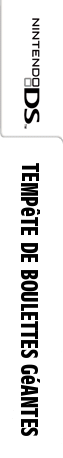 Tempête De Boulettes Géantes — box-2D-side (FR)