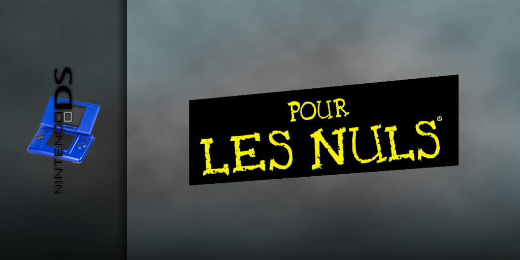 Culture Generale Pour Les Nuls, La — screenmarquee (FR)