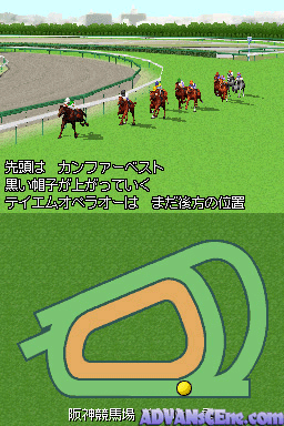 Derby Stallion Ds — ss (WOR)
