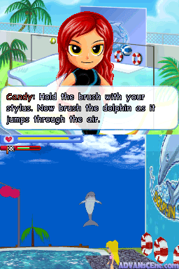 Dolphin Trainer — ss (WOR)