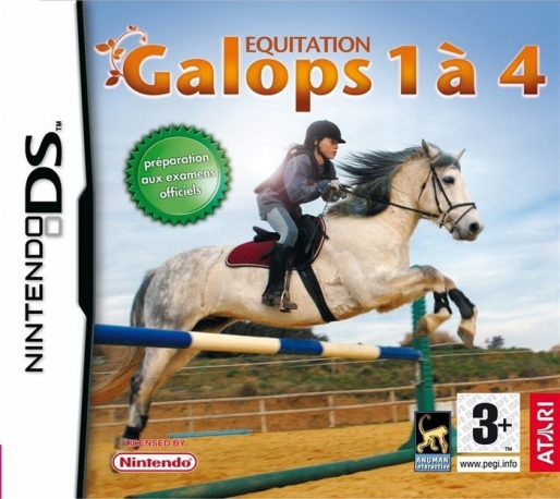 Equestrian Training — box-2D (FR)