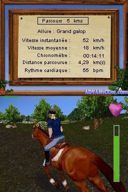Equitation - Galops 1 À 7 — ss (WOR)