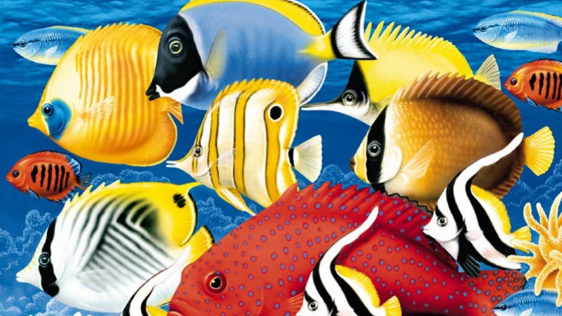 Fish Tycoon — fanart