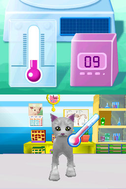 Imagine - Animal Doctor — ss (WOR)