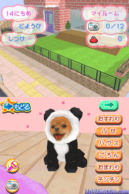 Kawaii Koinu DS 3 — ss (WOR)