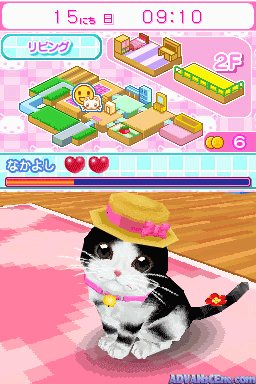 Kawaii Koneko Ds 2 — ss (WOR)