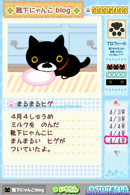 Kutsushita Nyanko - Shiroi Kutsushita O Haita Neko To Kurashi Hajimemashita. — ss (WOR)