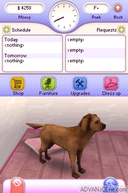 Let's Play Pet Hospitals — ss (WOR)