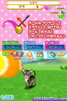 Machi No Pet-ya-san Ds 2 - Wan Nyan 333-hiki Daishuugou! — ss (WOR)