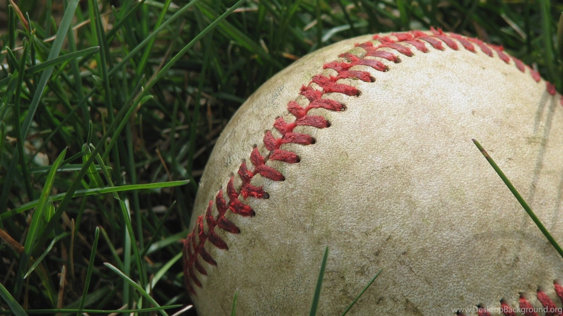 Major League Baseball 2k7 — fanart