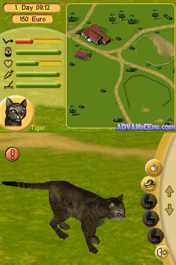 My Pet School — ss (WOR)