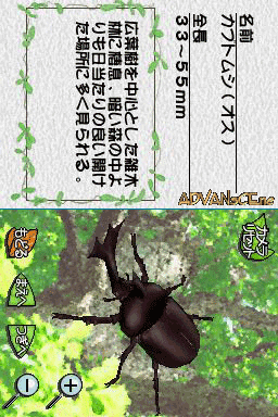 Mushi - Machi No Konchuu Monogatari — ss (WOR)