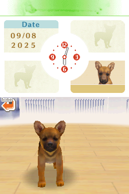 Nintendogs - Best Friends — ss (WOR)