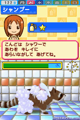 Pet Shop Monogatari DS 2 — ss (WOR)
