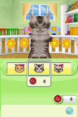 Petz : Catz Playground — ss (WOR)