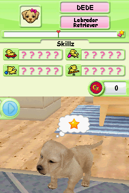 Petz Dog Superstar — ss (WOR)